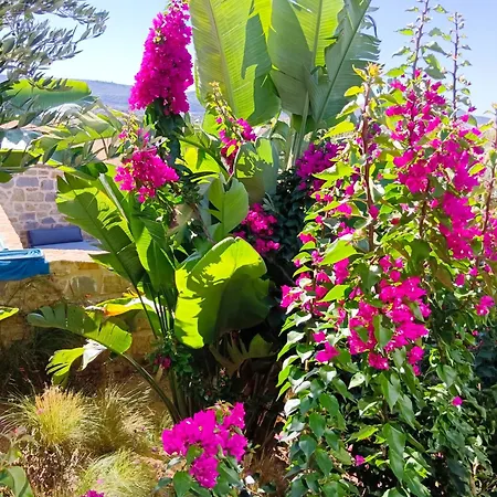 Eugenia Holiday home Romanos (Messenia)